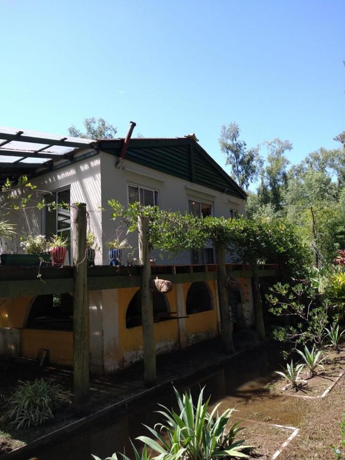 Cabanas Isla San Jose Tigre Pokój zdjęcie