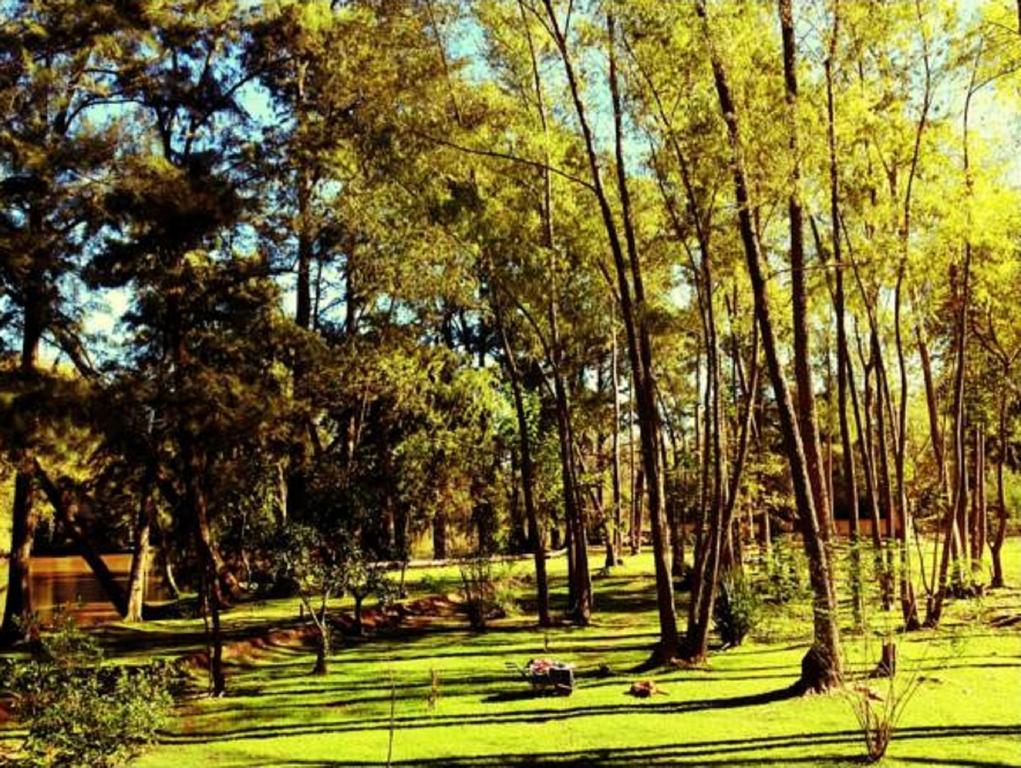 Cabanas Isla San Jose Tigre Pokój zdjęcie